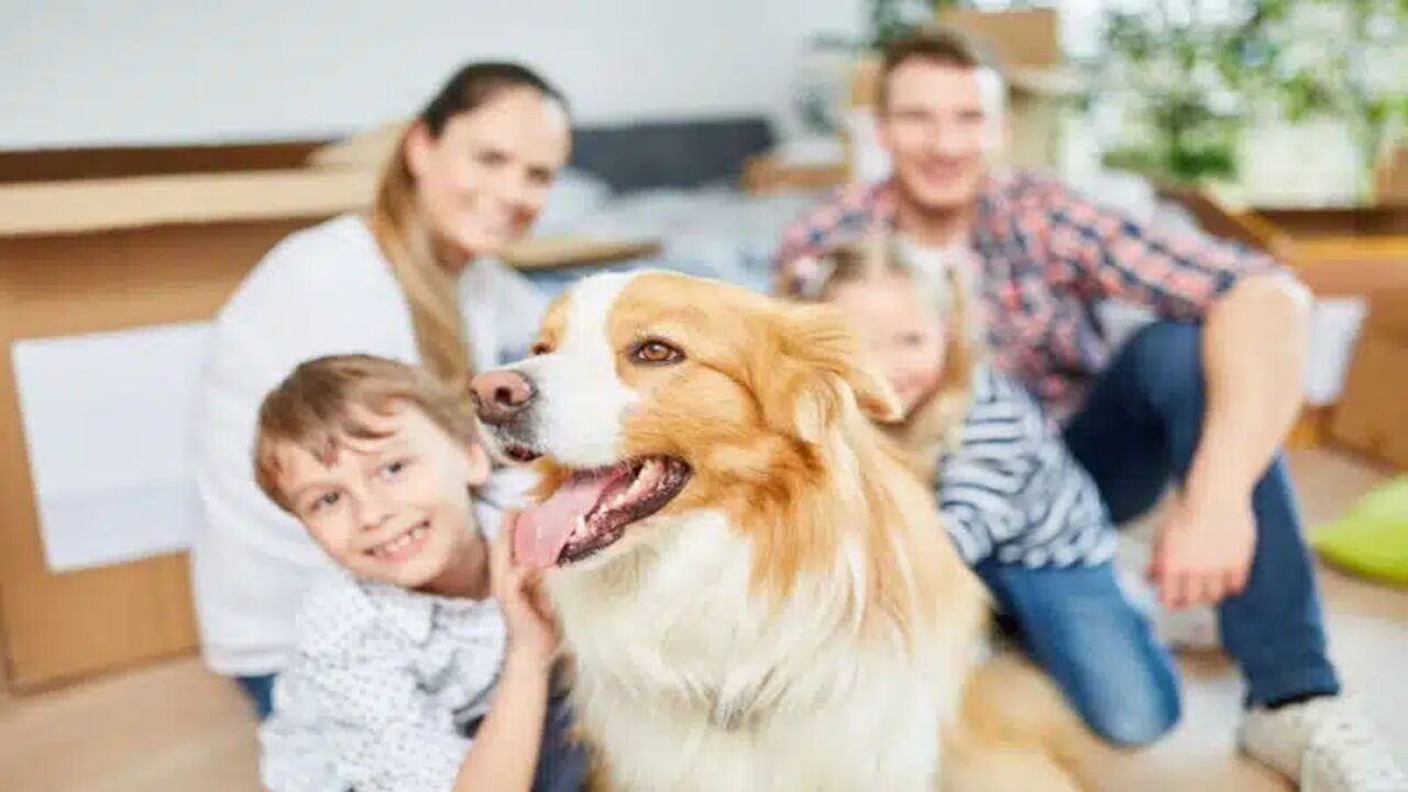 Changes In The Household Or Routine