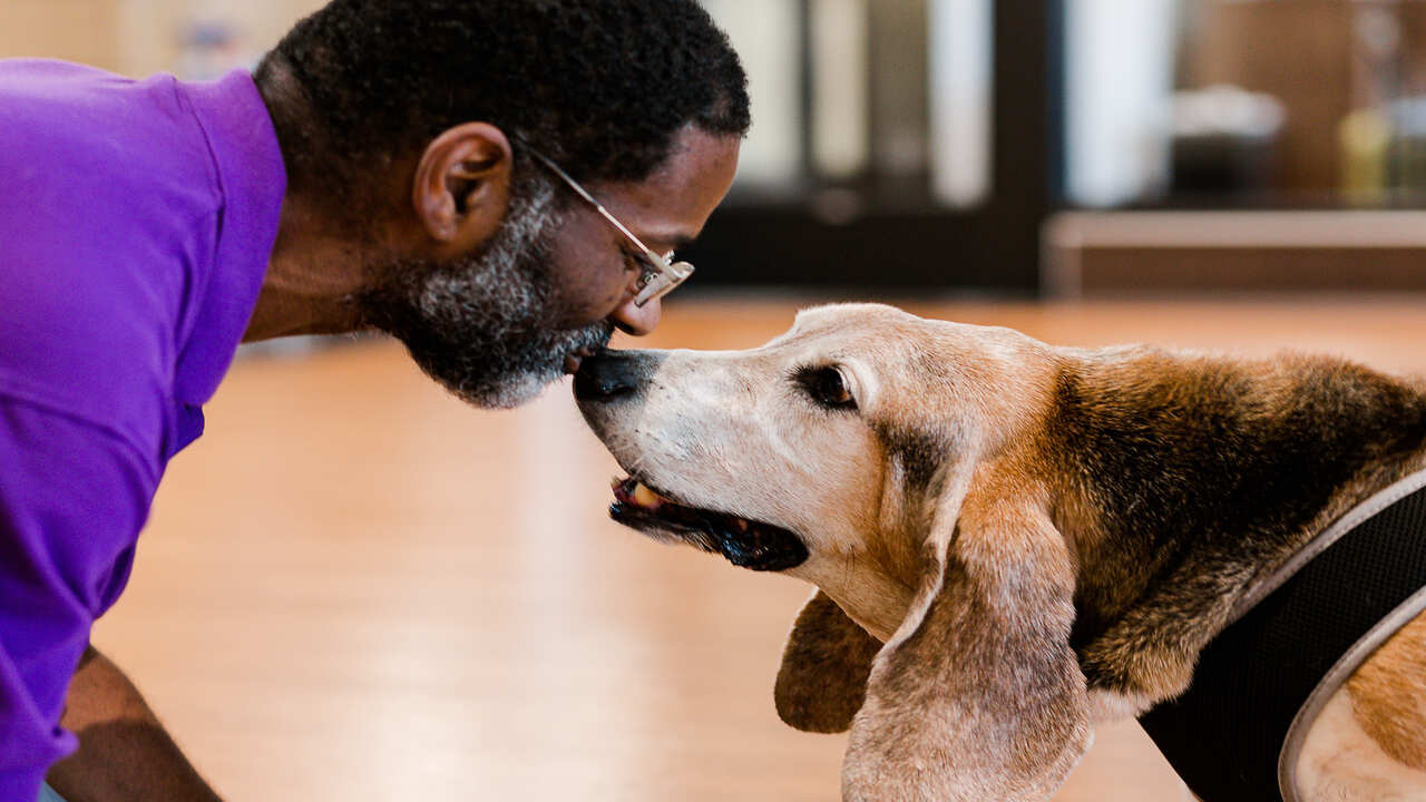 Pro Tips To Avoid This Kind Of Situation & Keep Your Pet Happy