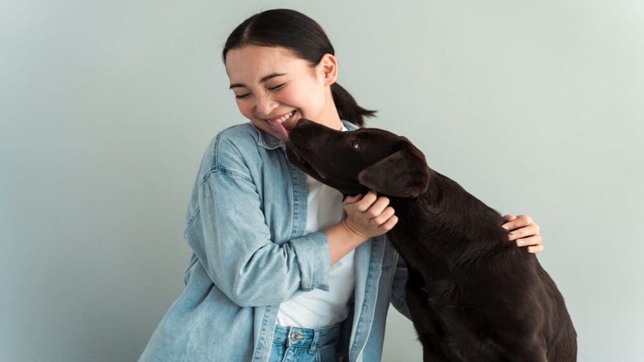 Emotional Support Animal Laws In Virginia – Explained