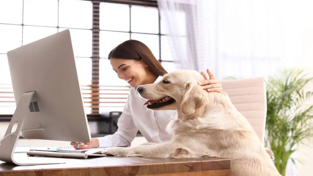 Employment Laws Virginia