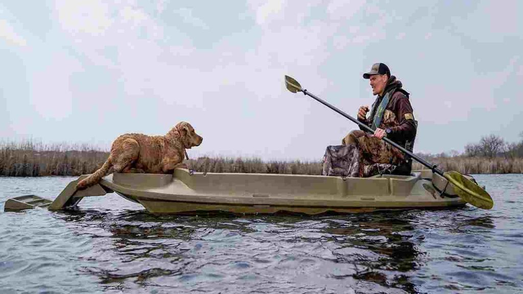 Kayak Platform For Dogs Elevate Canine Adventures!