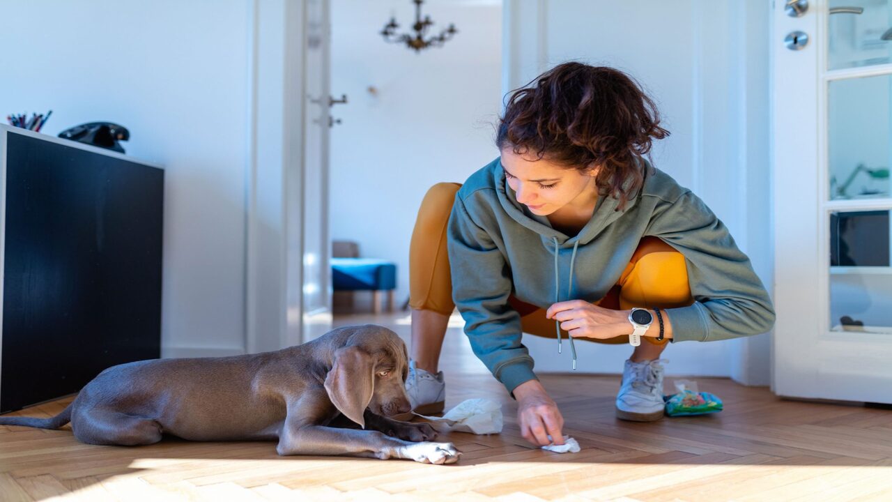 Be Consistent With Routines