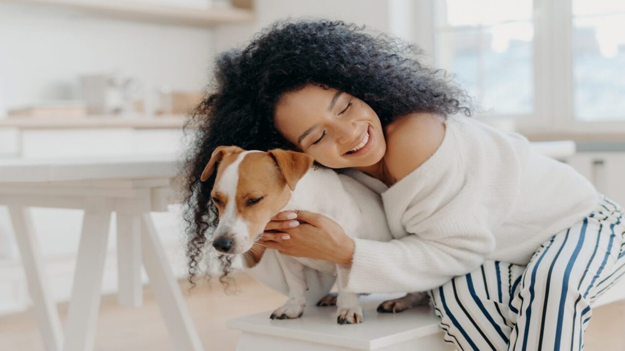 The Legal Rights Of Emotional Support Animals In Iowa
