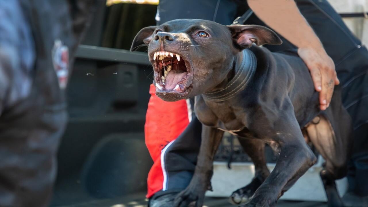 Exceptions To The Strict Liability Rule