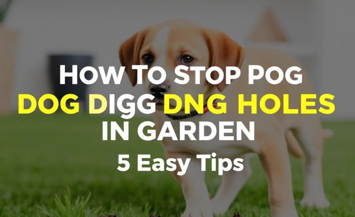 Assessing Your Dog’s Behavior