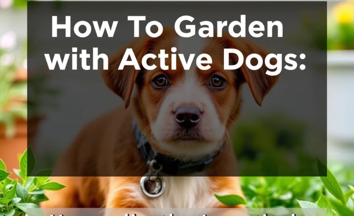 Choosing the Right Location