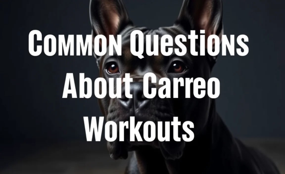 Common Questions About Cane Corso Workouts