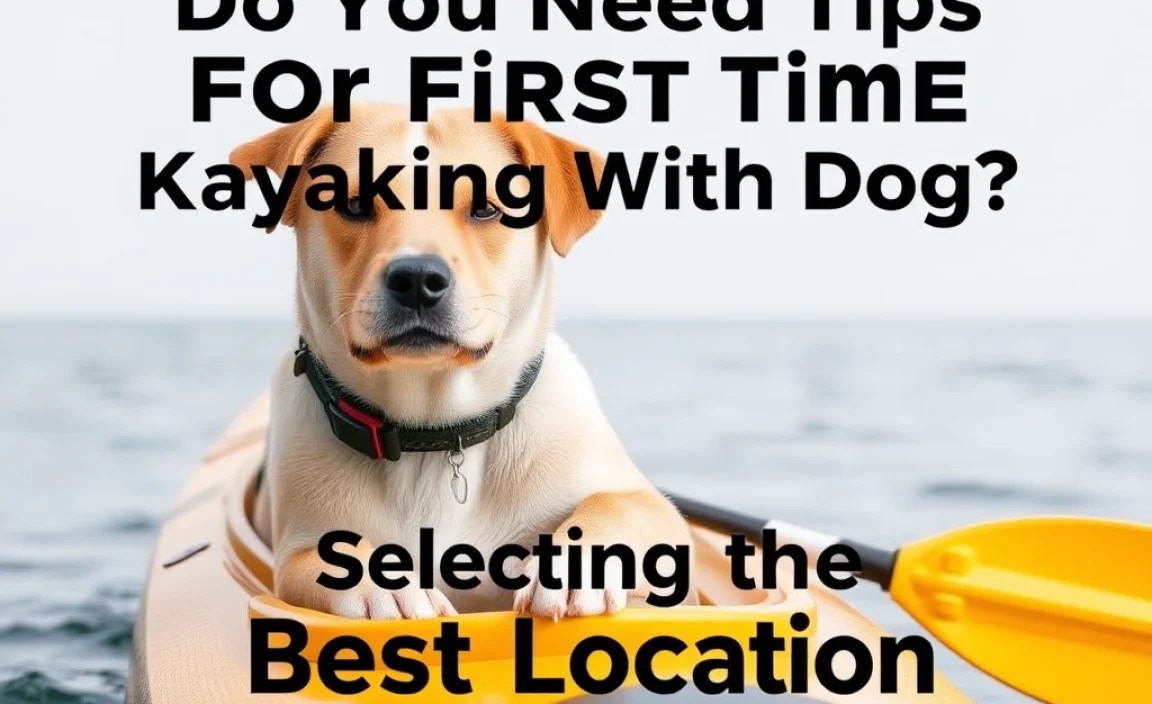 Selecting the Best Location