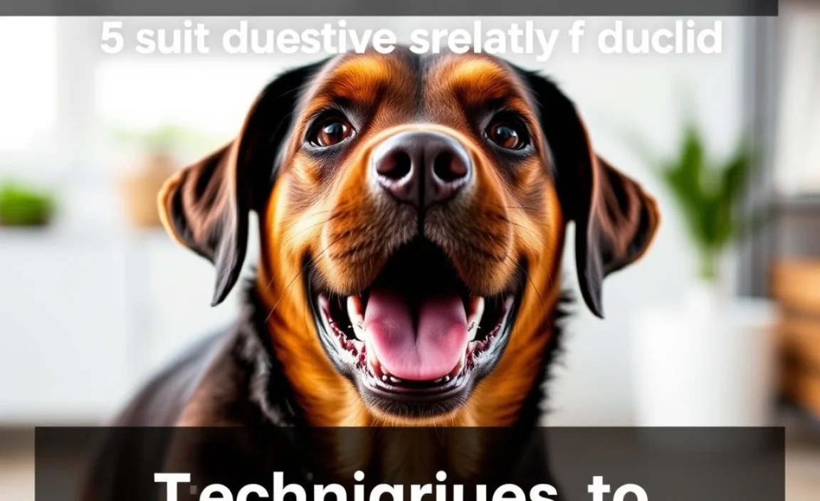 Training Techniques to Reduce Barking