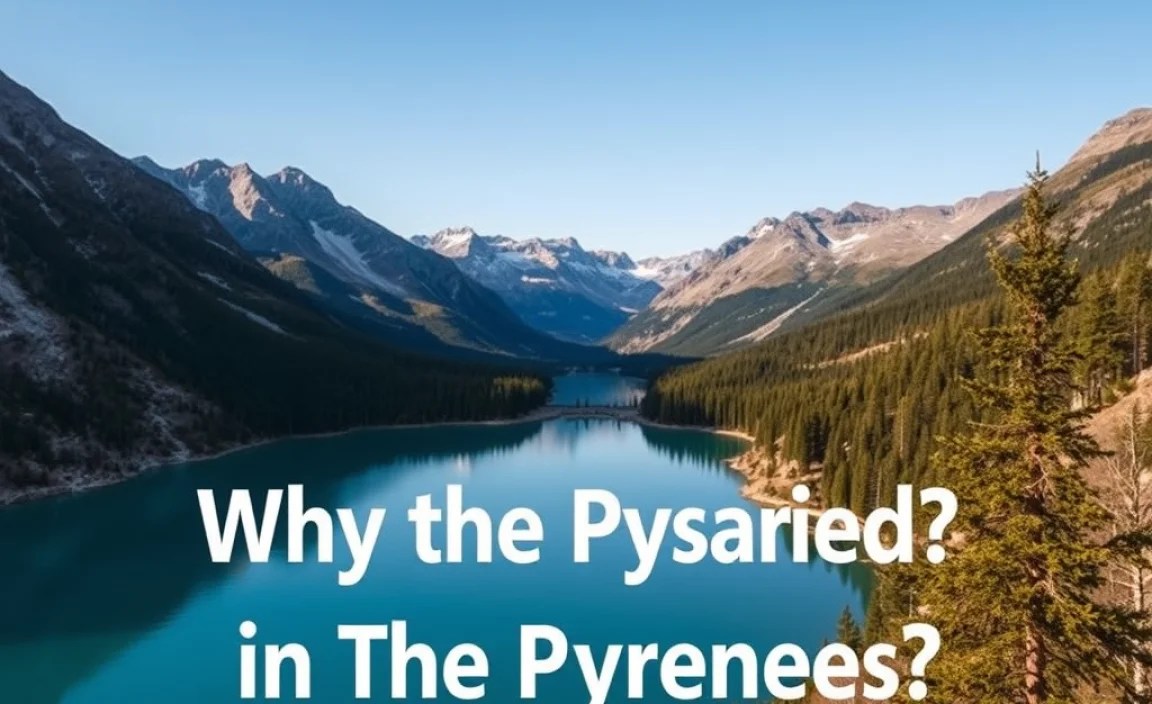 Why the Pyrenees?