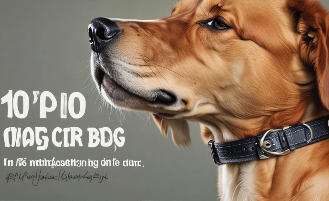 Features to Consider