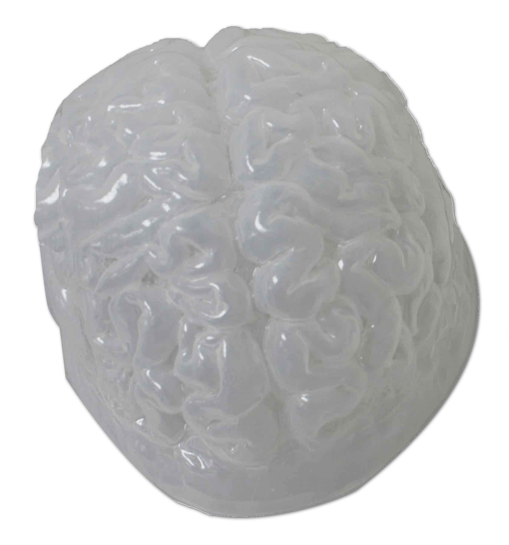 Realistic Gelatin Brain Mold ThinkFirst