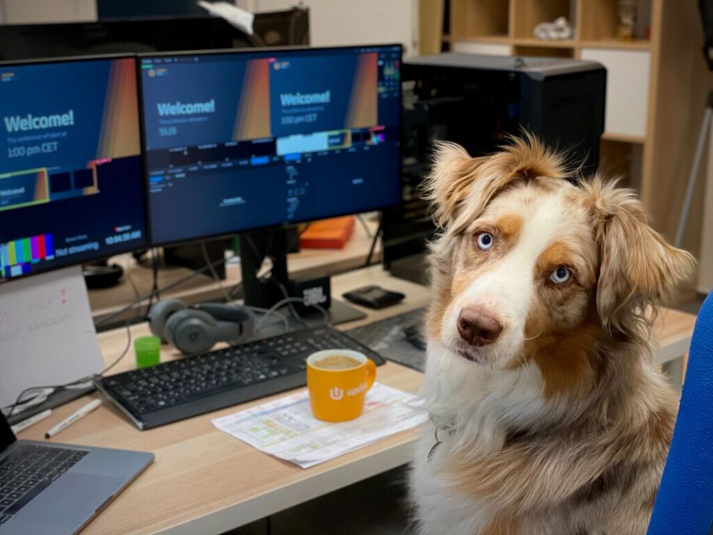 Best Office Pets To Boost Workplace Productivity Think FM Commercial
