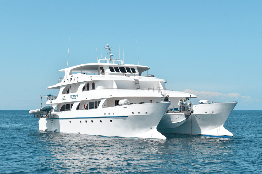 Tip Top V Galapagos yacht Think Galapagos