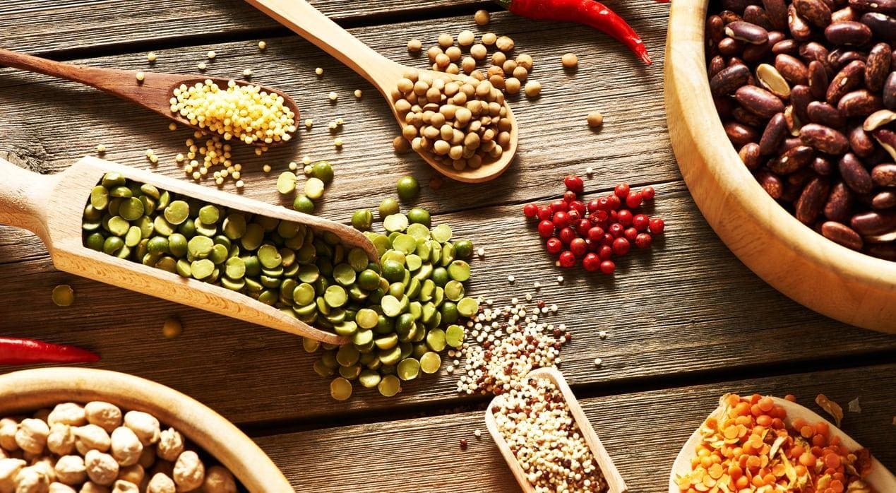 Getting Enough Protein on a Vegan Diet Think Glamor
