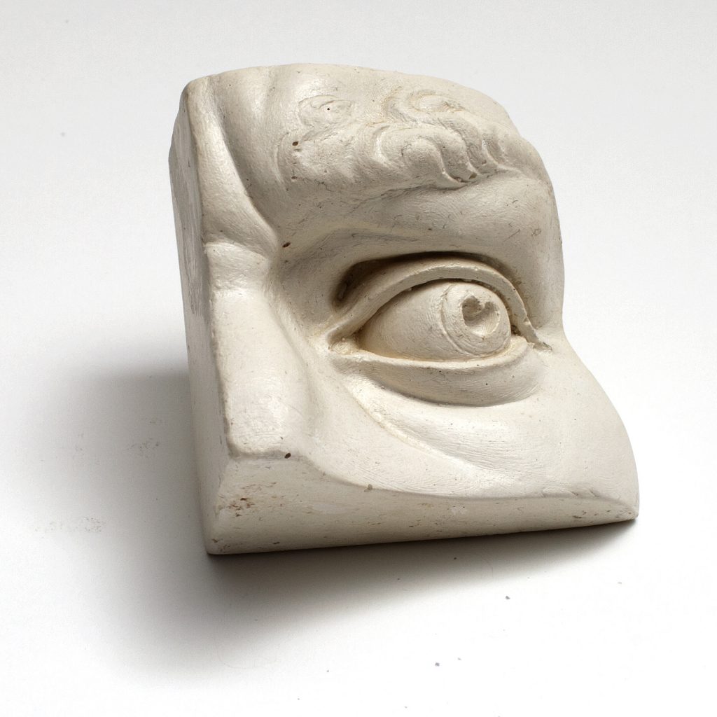 Anatomical Sculpture Reference Model, Male Eye thinkinghandstudios