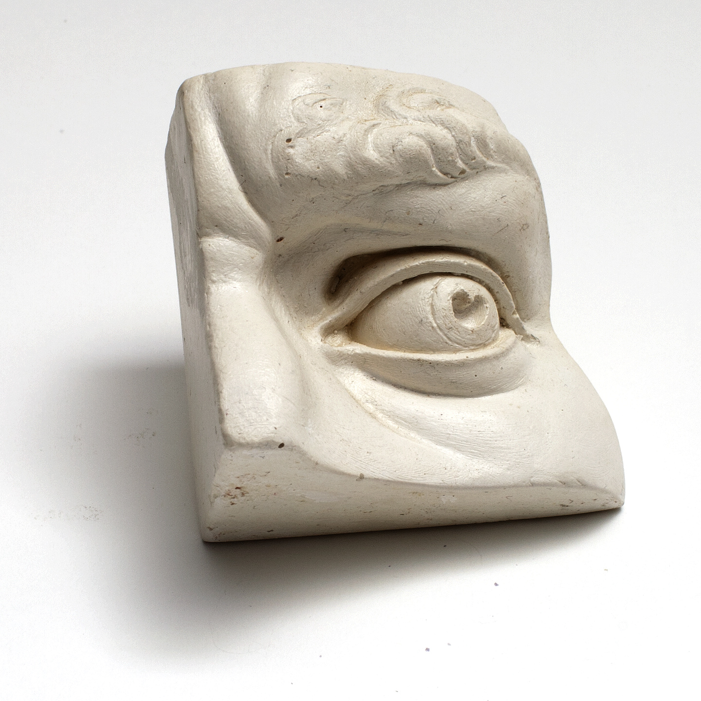 Anatomical Sculpture Reference Model, Male Eye thinkinghandstudios