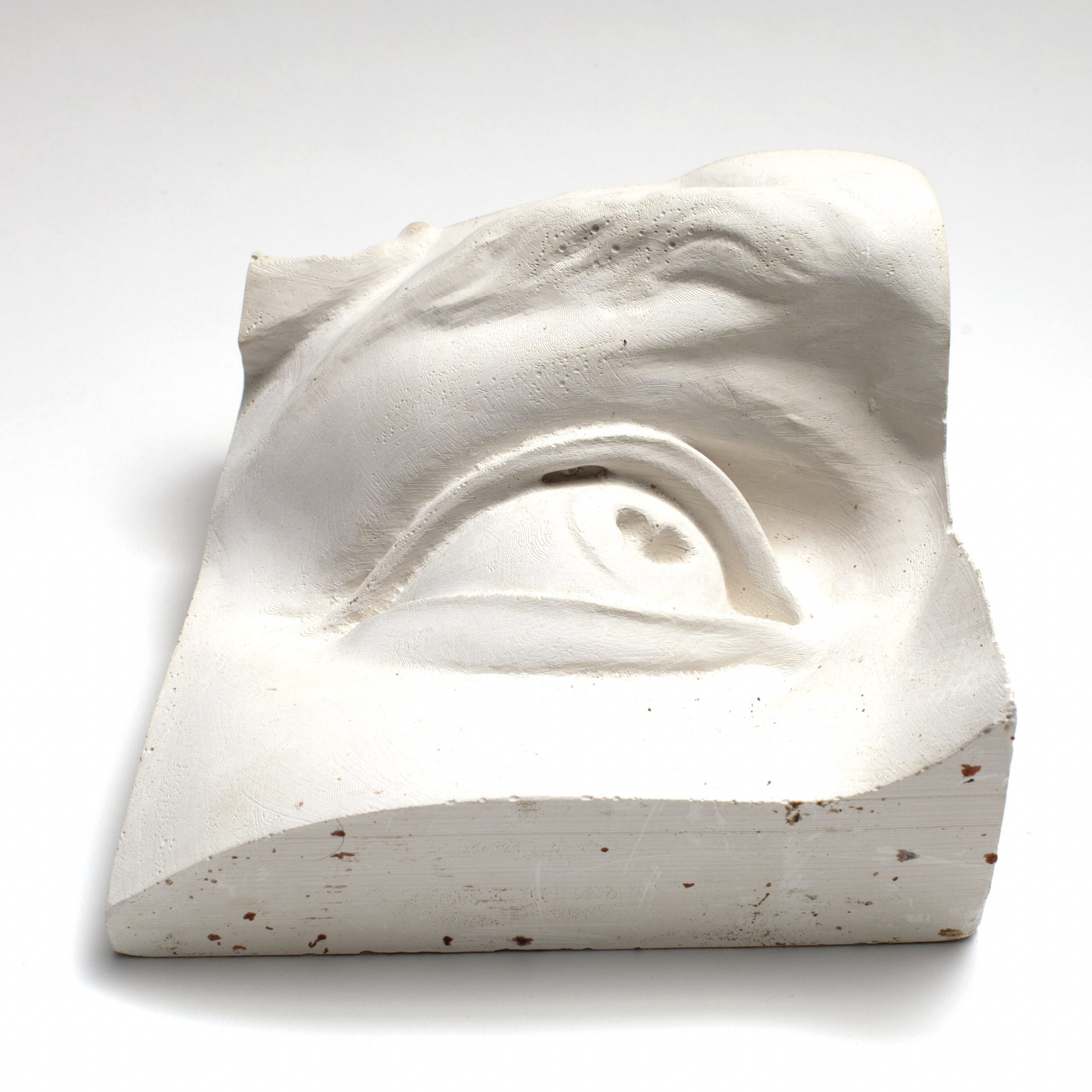 Anatomical Sculpture Reference Model, Large Michelangelo Eye thinkinghandstudios