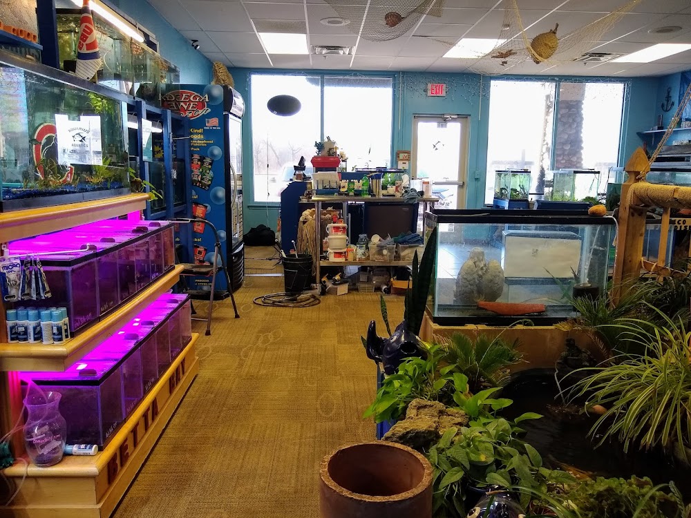 Clock Tower Plaza Think Iowa City