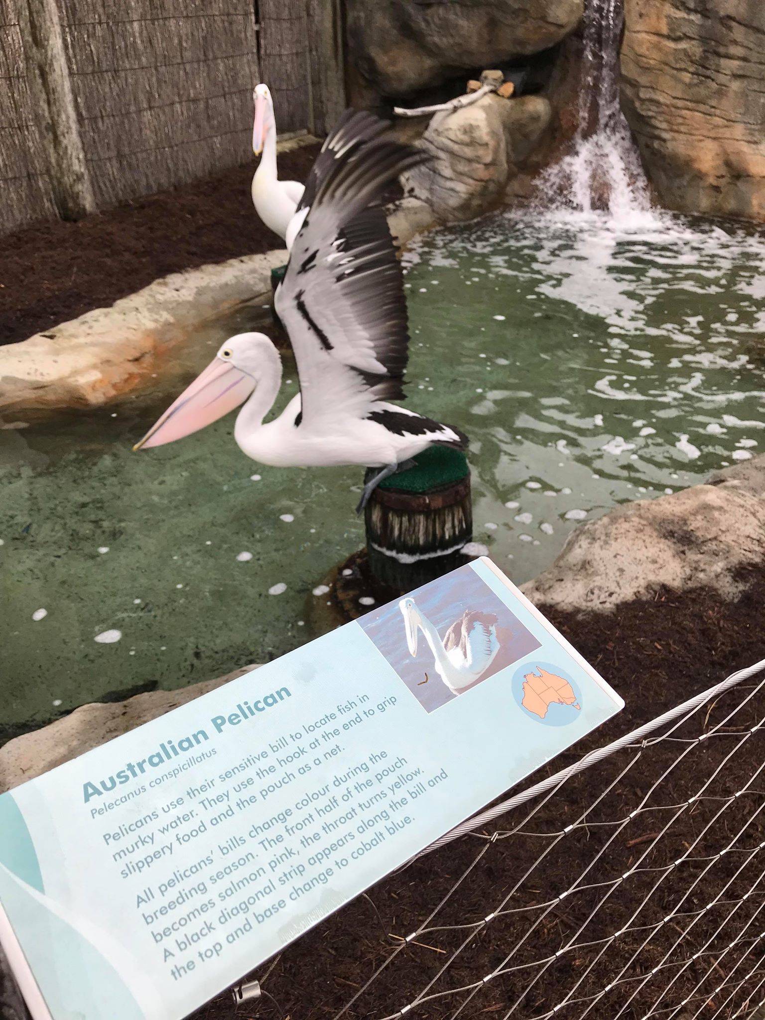 What’s Stopping You From Living Your Dream? ThinkMaverick