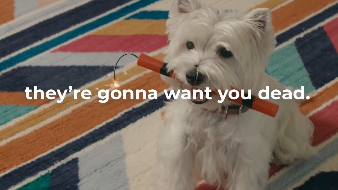 AdWatch Ladder Life Insurance So Good You Might Wish You Didn't Have