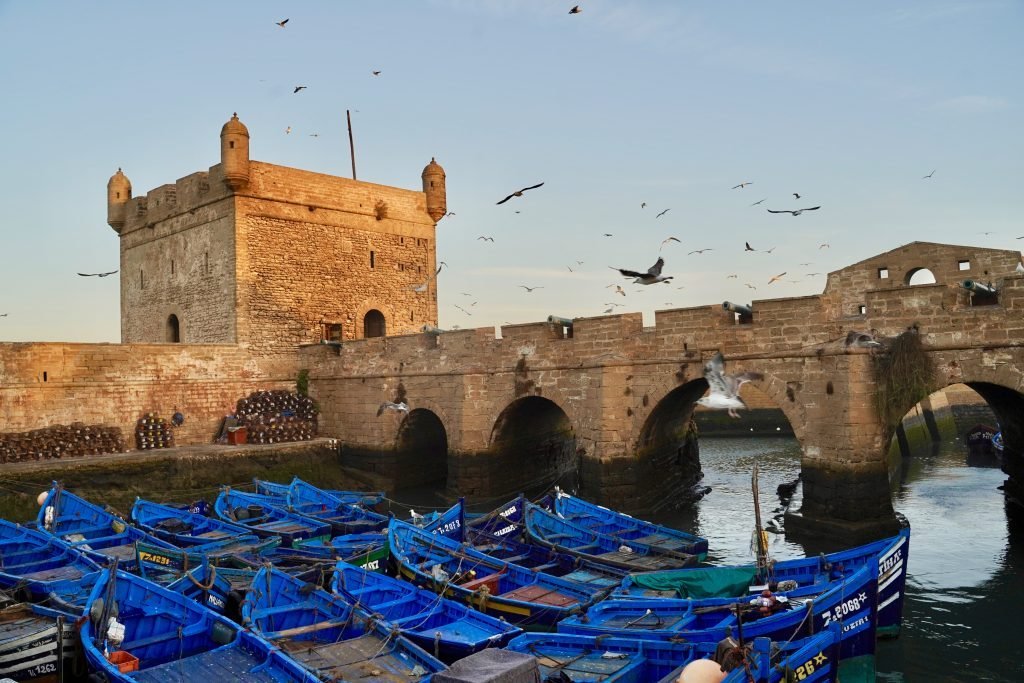 Best Things To Do In Essaouira (Morocco) // Updated For 2020