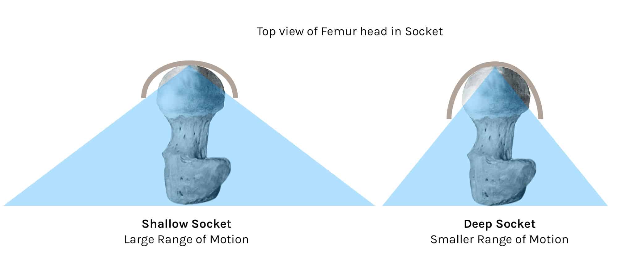Sockets, Torsion, & Squat Depth ThinkMovement