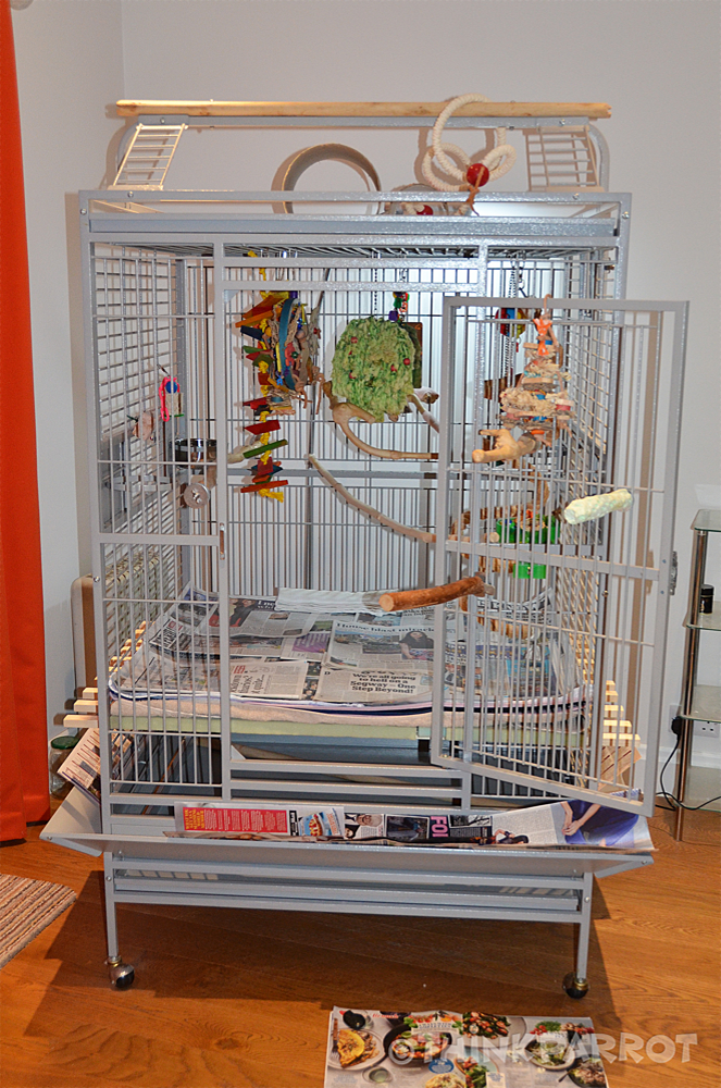 Modifying a Cage for a Disabled Parrot ThinkParrot