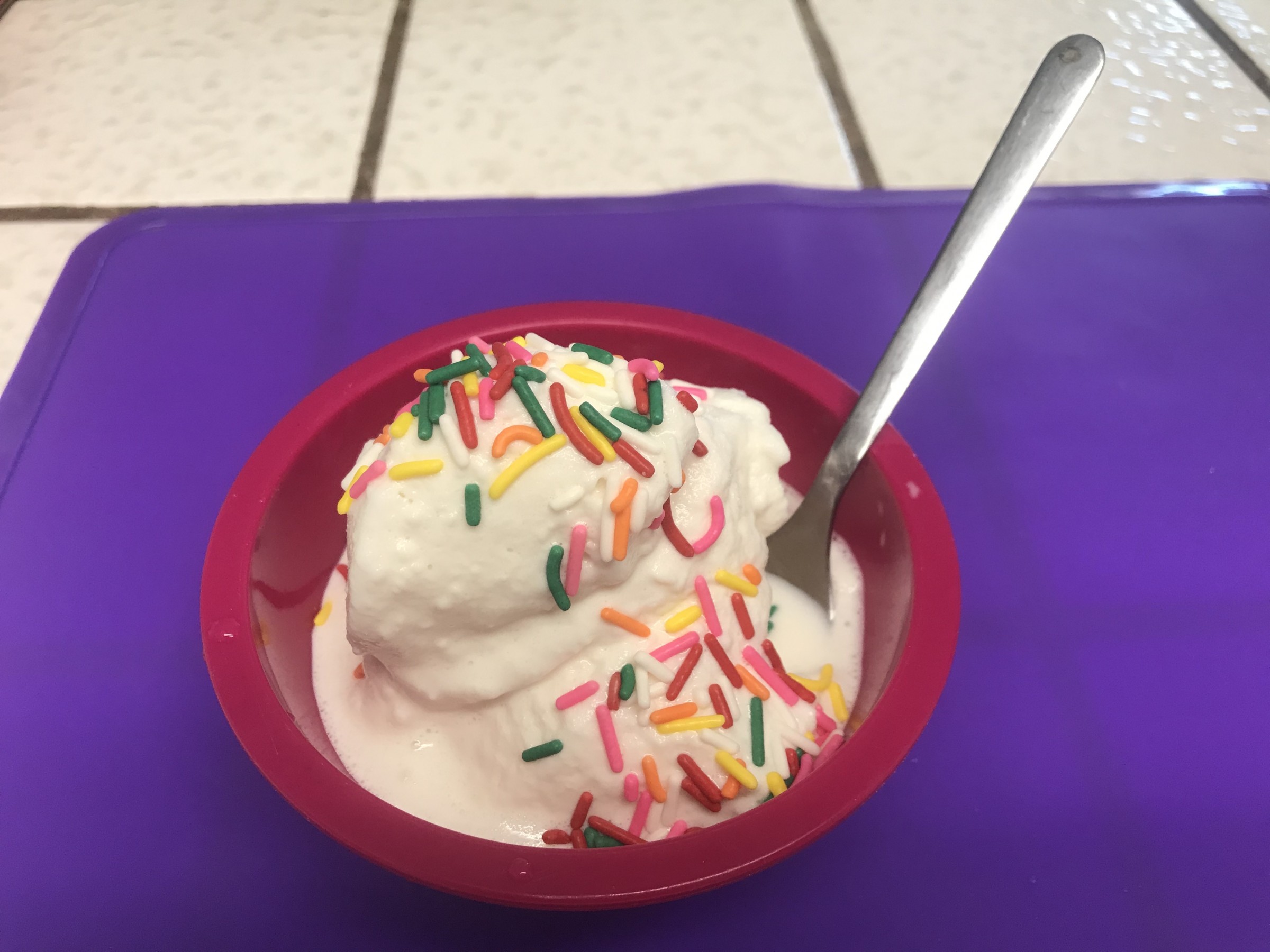 DIY Homemade Ice Cream In a Bag The New Children's Museum