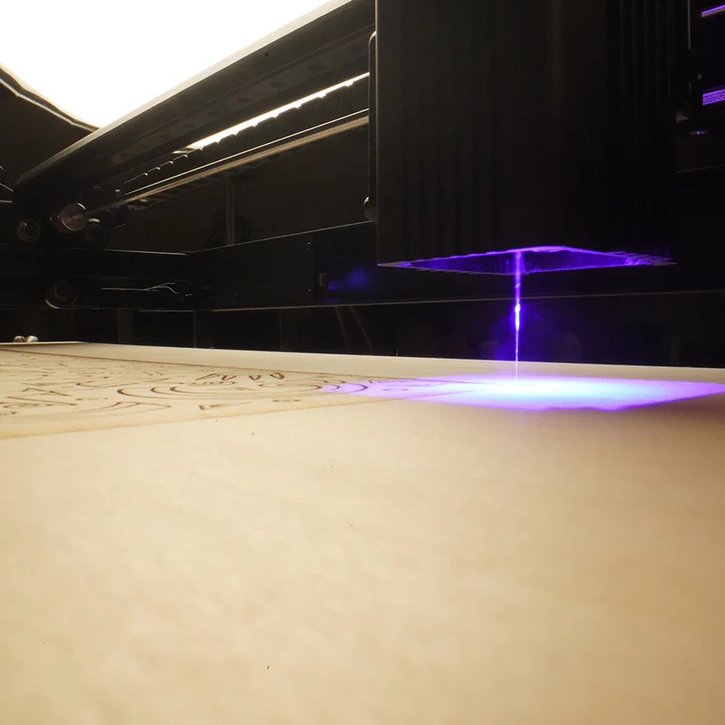 Buy ThinkRobotics Lazervida 10W Diode Laser Cutter Online