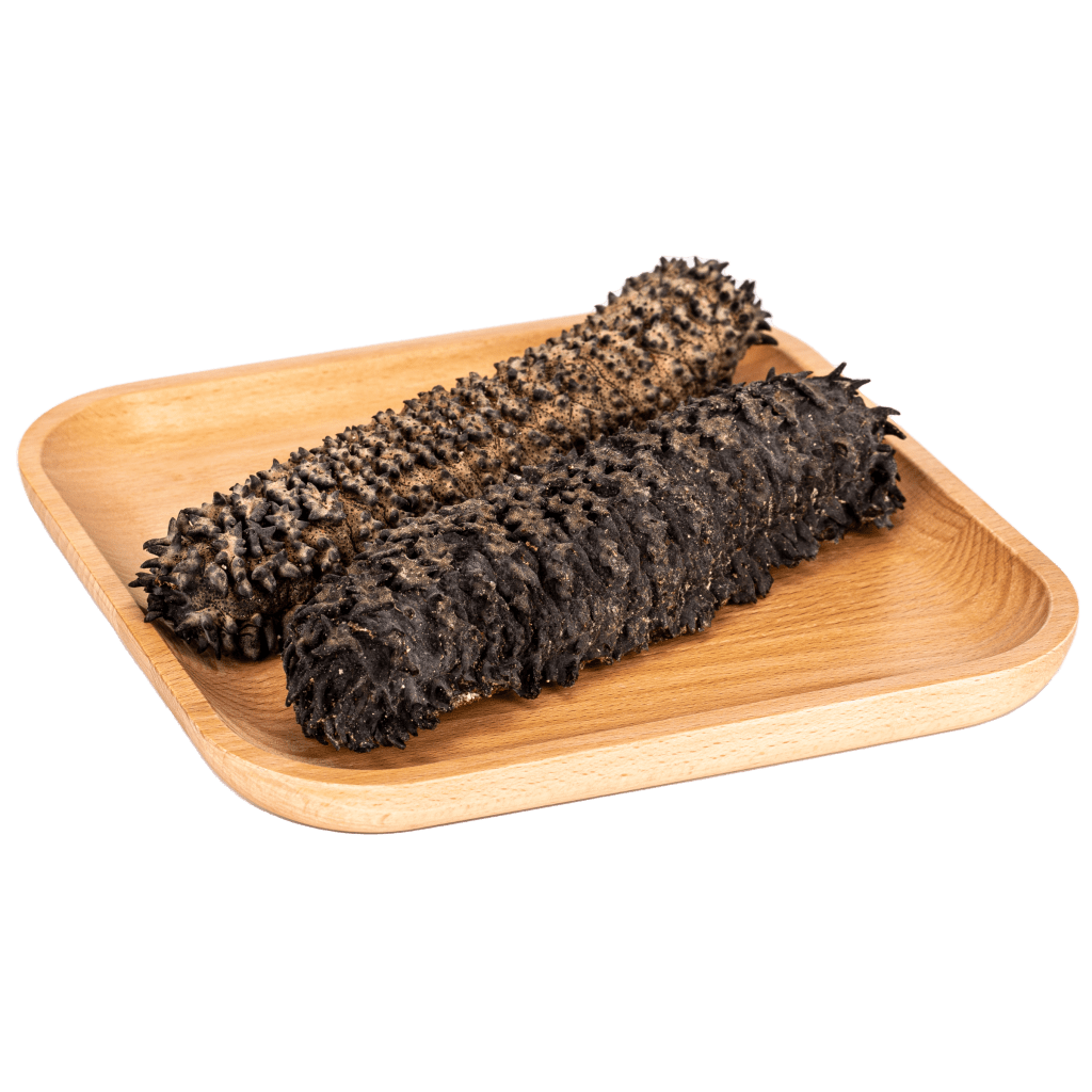 Australia Dried Sea Cucumber (Prickly Reds) Think Value