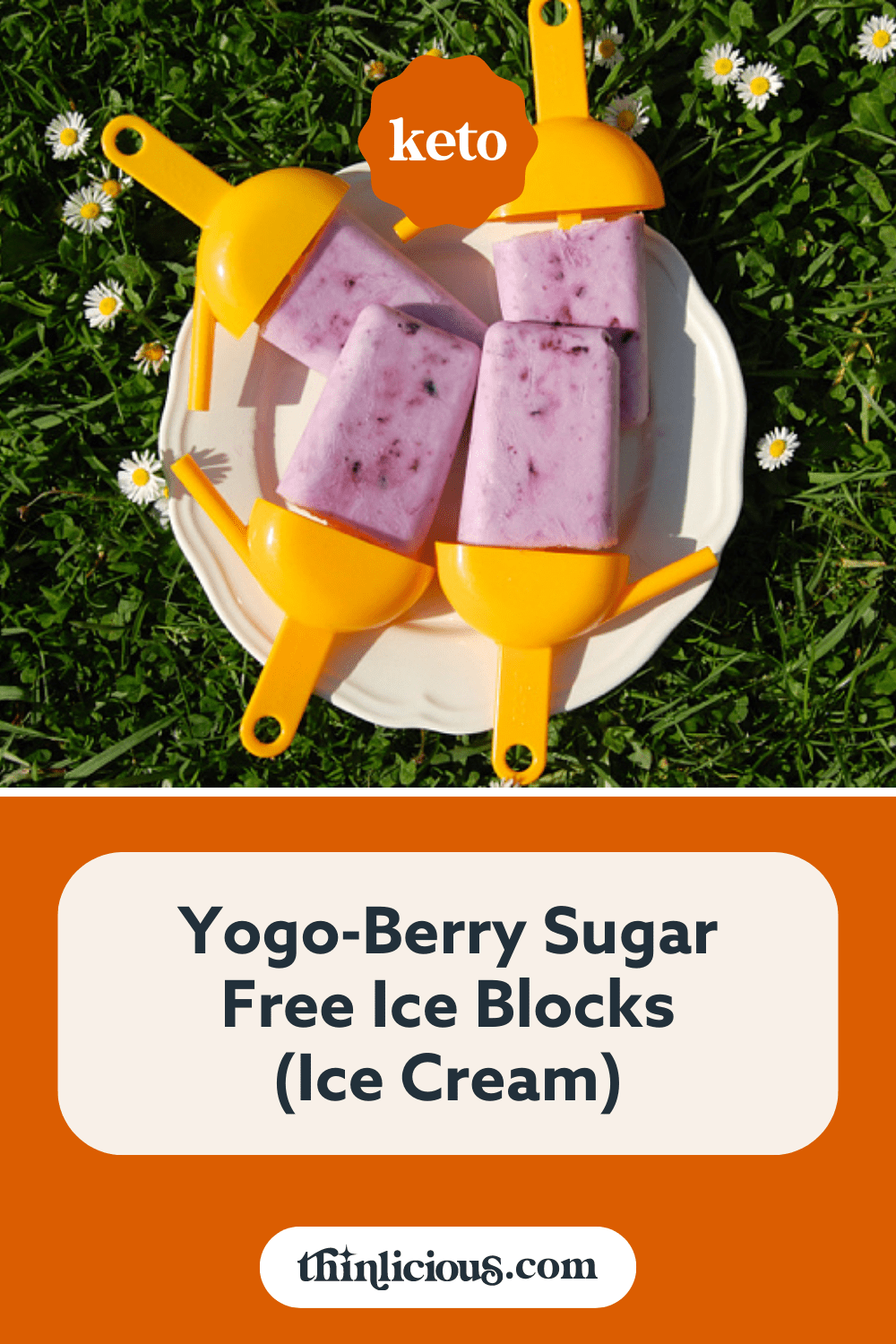 YogoBerry Sugar Free Ice Blocks (Ice Cream) Thinlicious