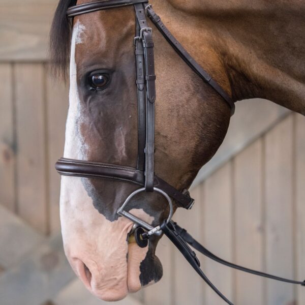 Busy Buddy Horse Calmer Relaxation Tool for Horses ThinLine