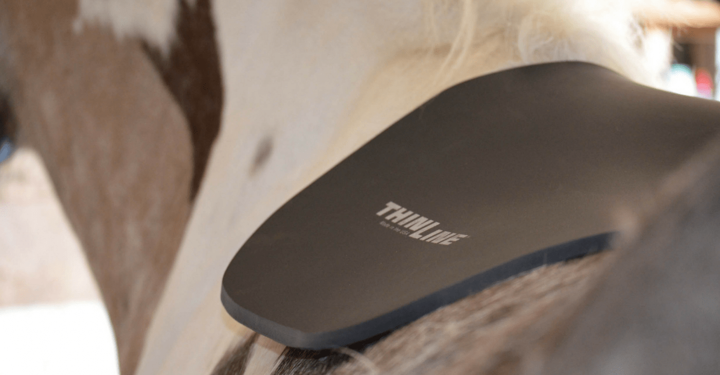 Basic English Half Pad Untrimmed ThinLine Australia