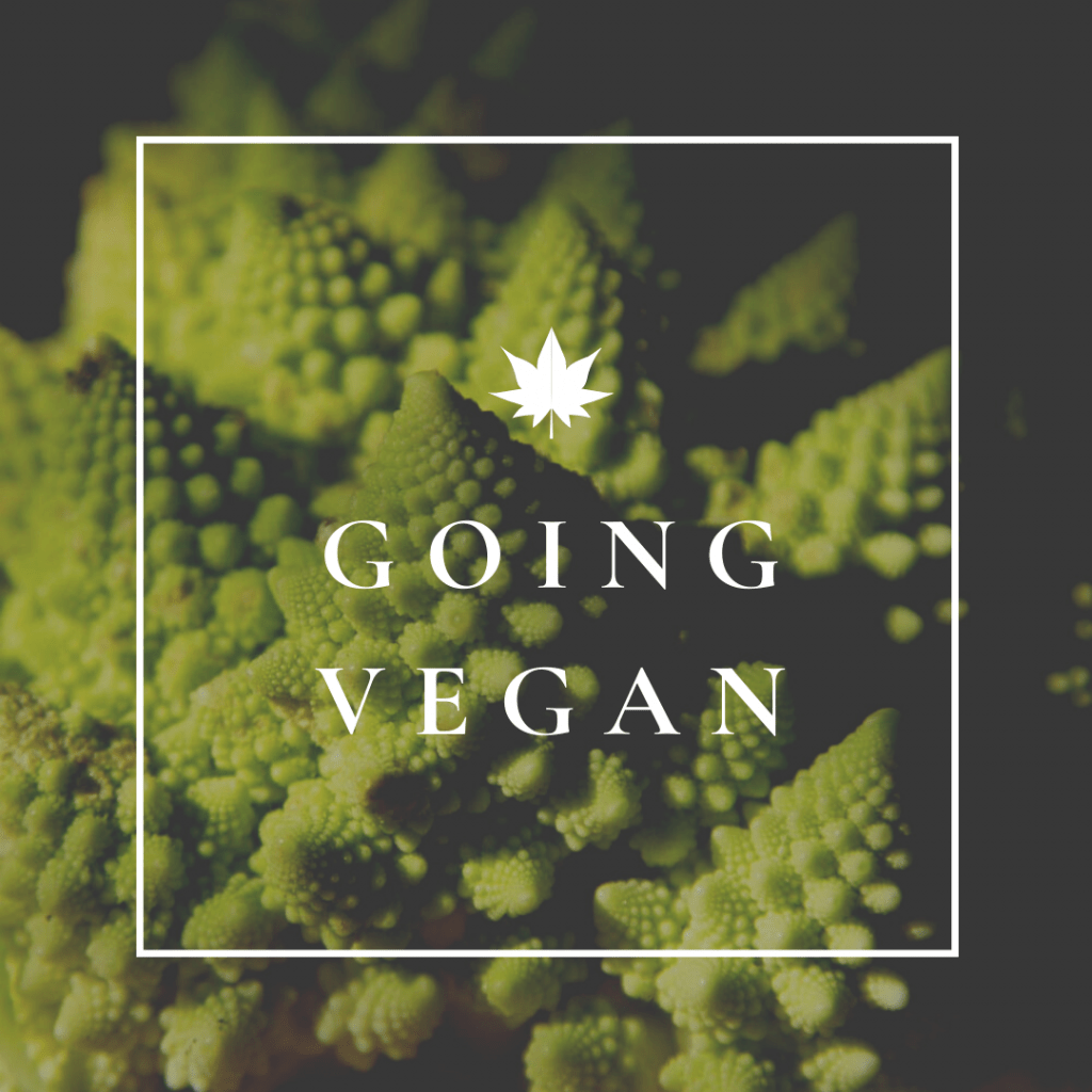 Beginners Guide To Going Vegan thinlyspread.co.uk