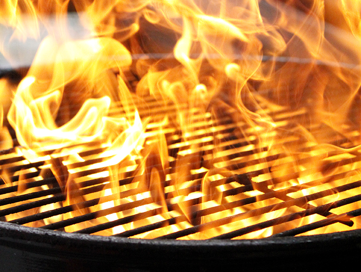 The Barbecue Your WeightLoss Secret Weapon Thinnergy