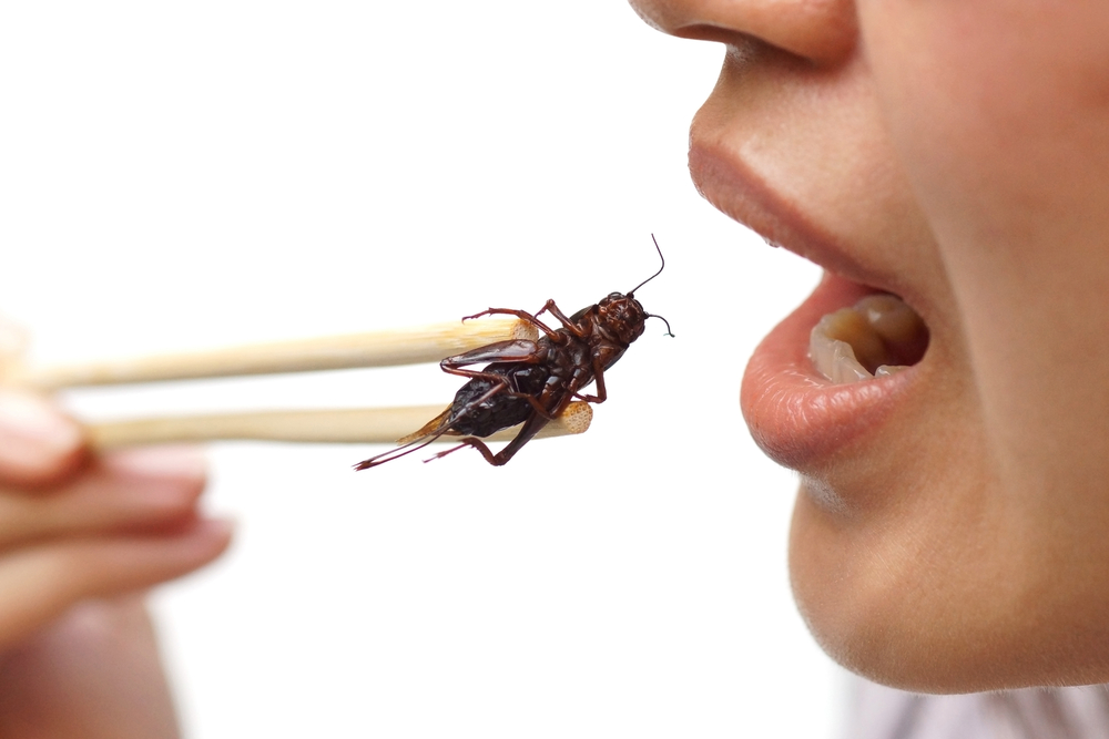 Eating Crickets Can Be Good for Your Gut