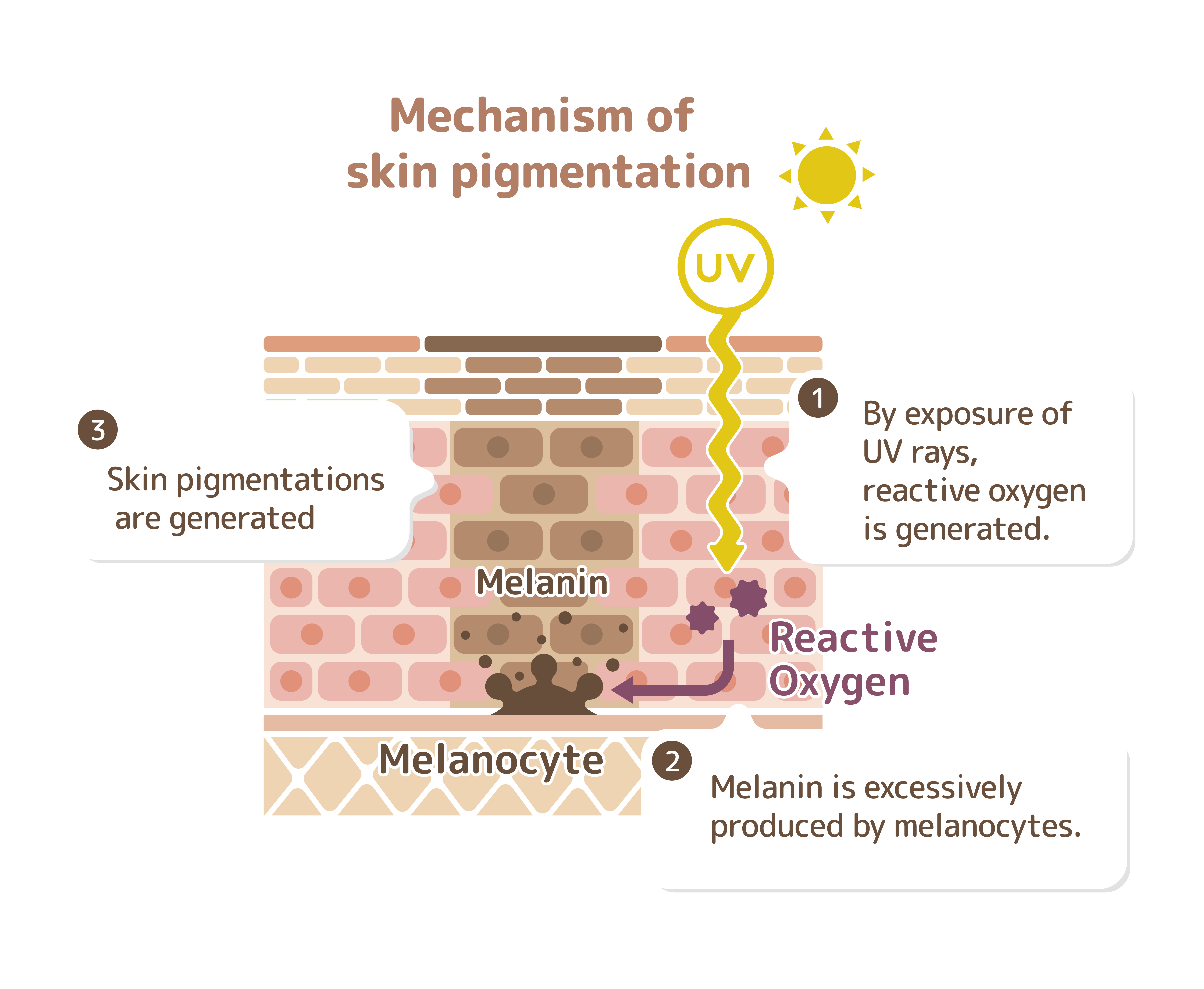 Pigment Spots On Skin