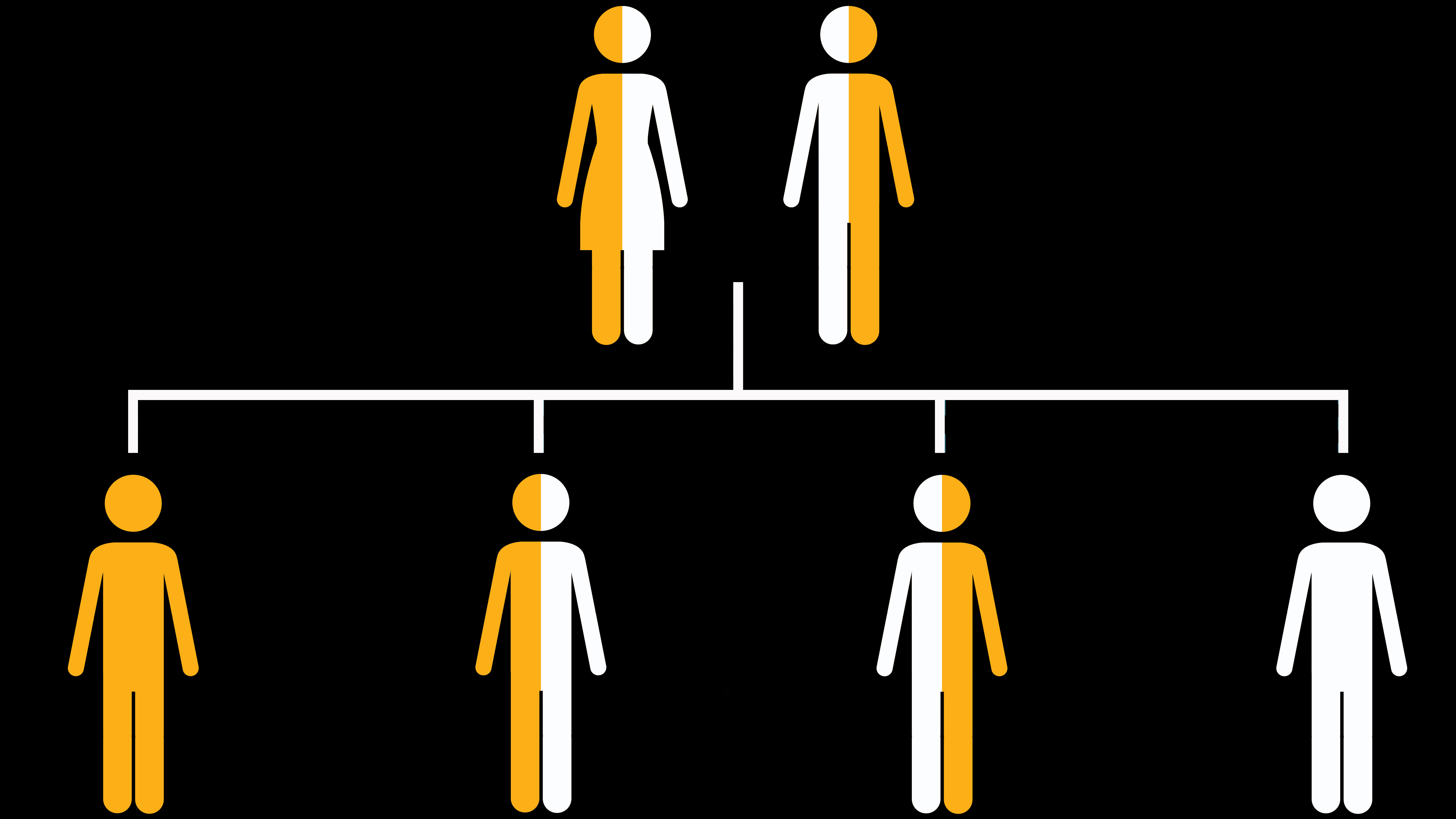 Inherited Disorders Video thirdAGE