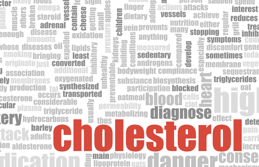 Mayo Clinic Challenges Cholesterol Guideline thirdAGE healthy