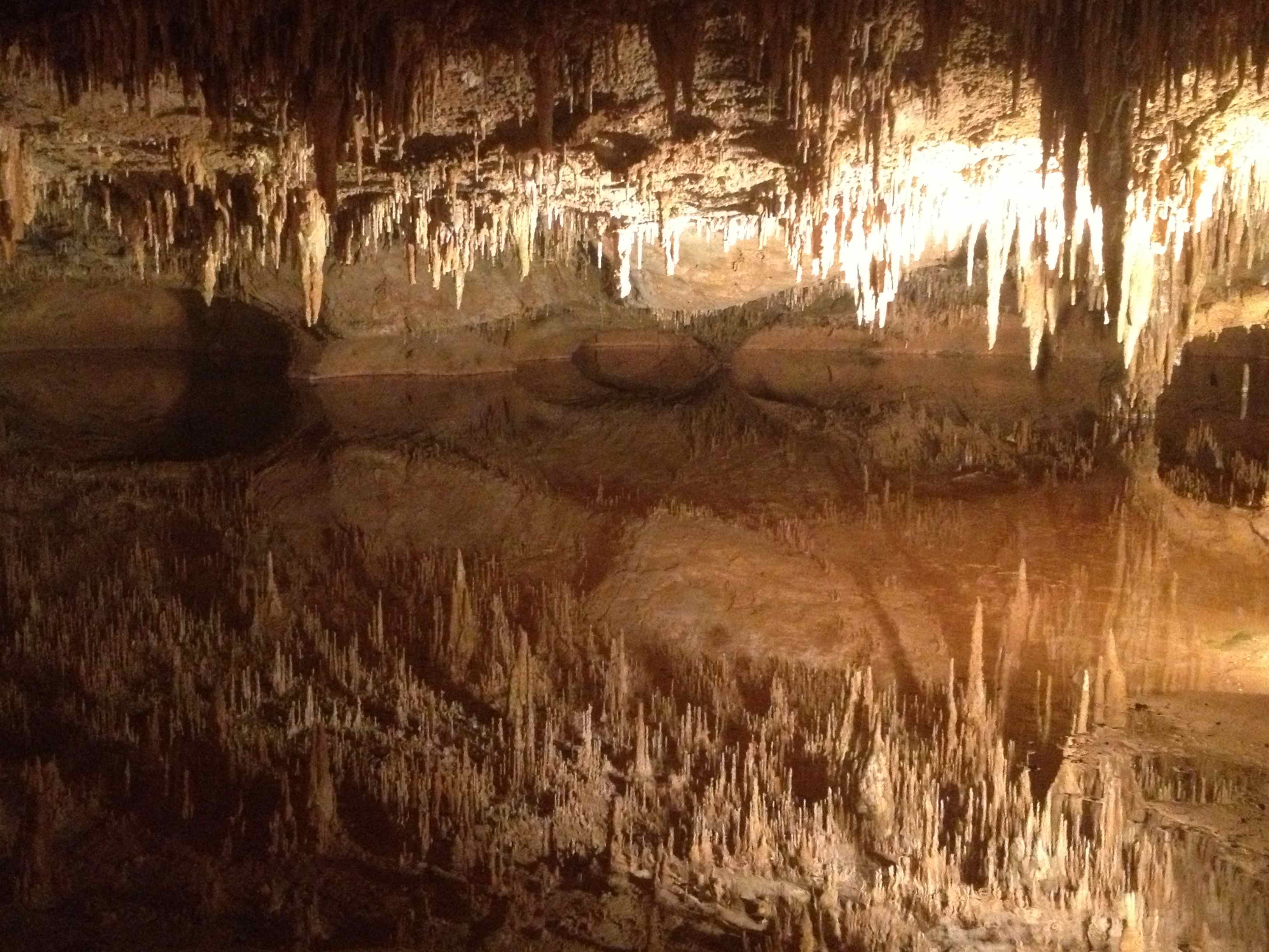 Are Dogs Allowed Inside Luray Caverns