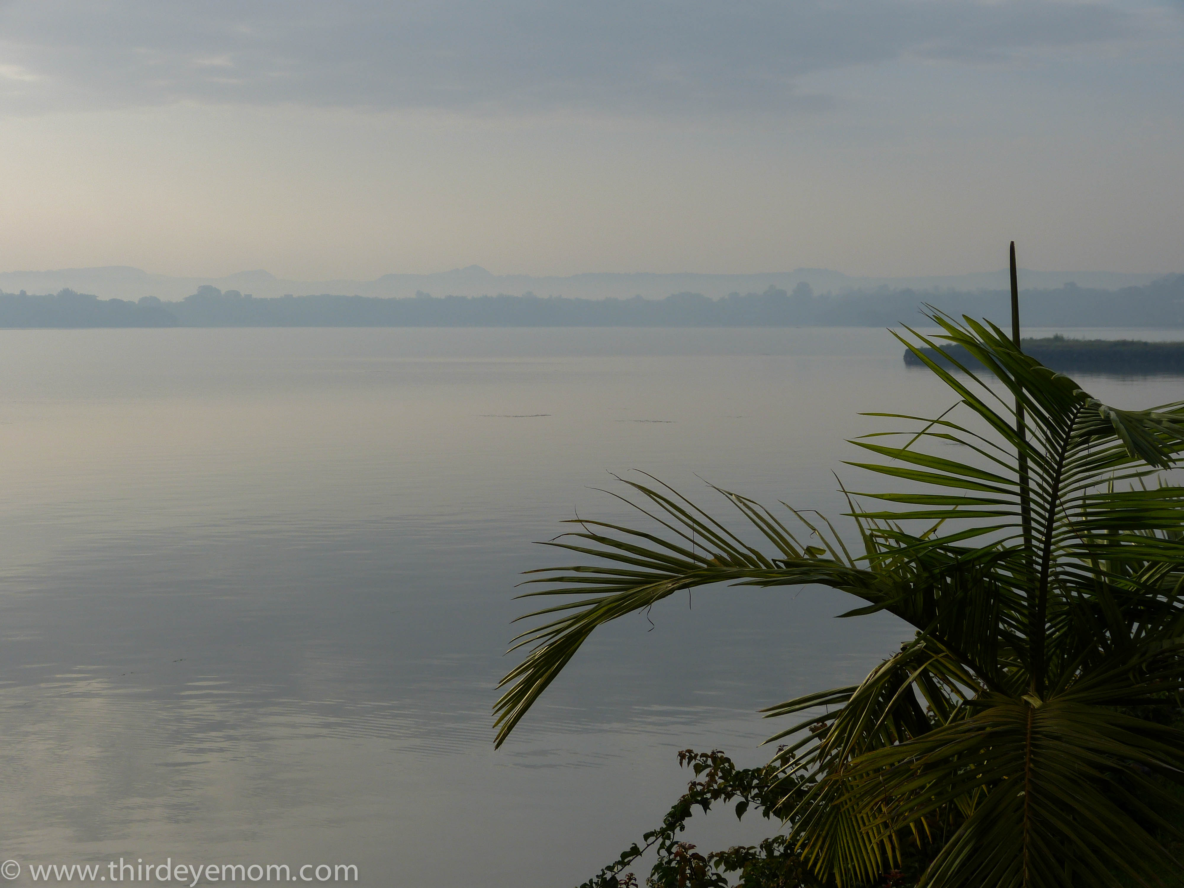 Lake Tana Battle of the Hippos and Papyrus Boats Thirdeyemom