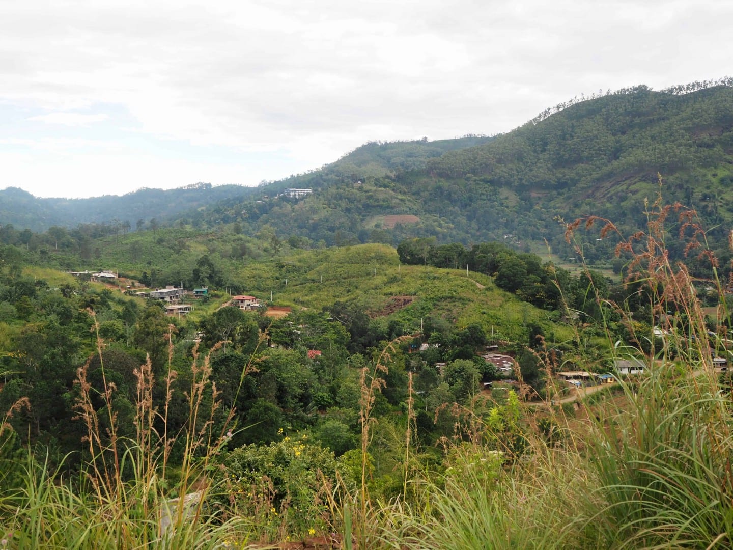 Ella In Sri Lanka 10 Amazing Reasons Why You Must Visit!