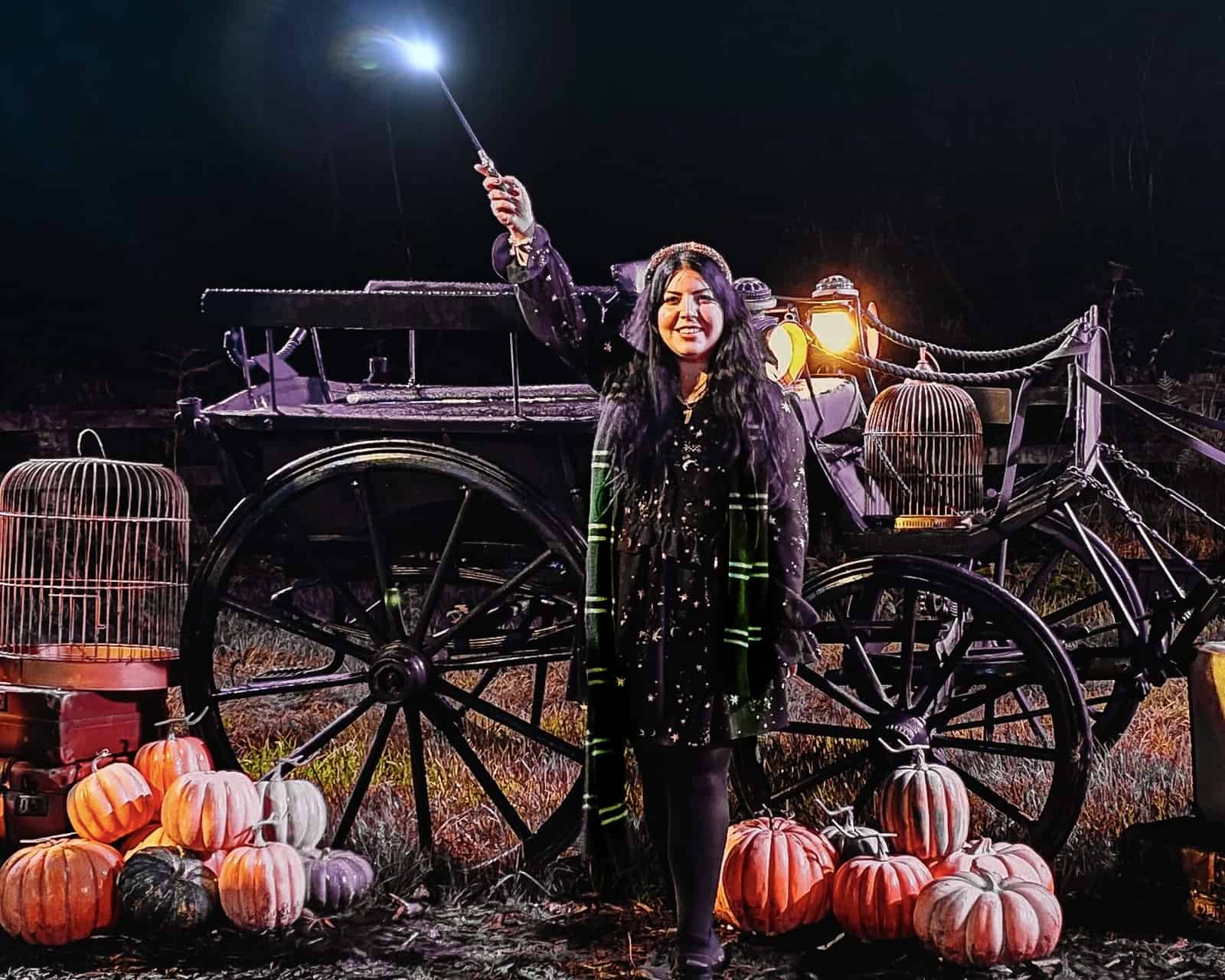 Harry Potter Forbidden Forest Experience Review Magical Reasons To