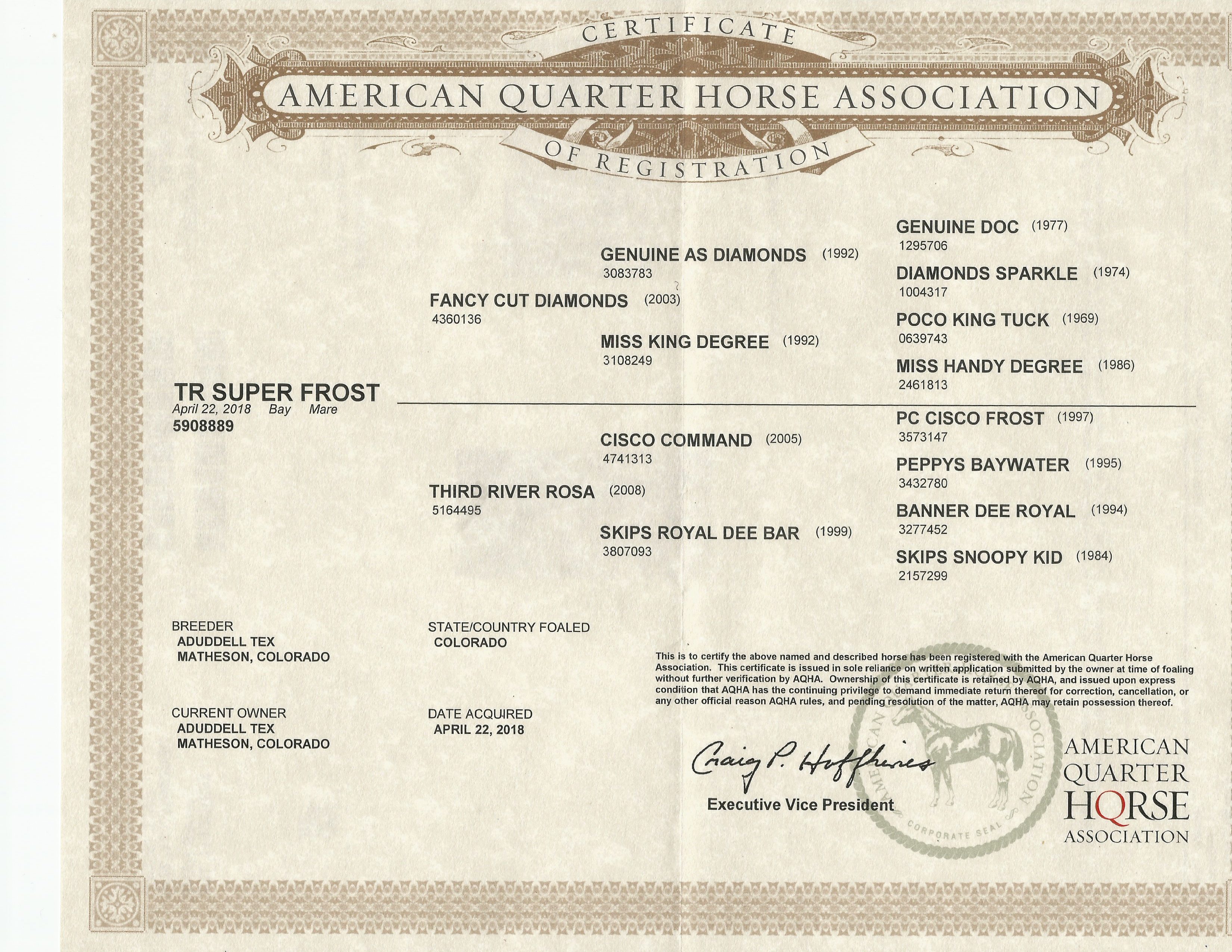 Pedigree Line Poco Bueno Third River Ranch