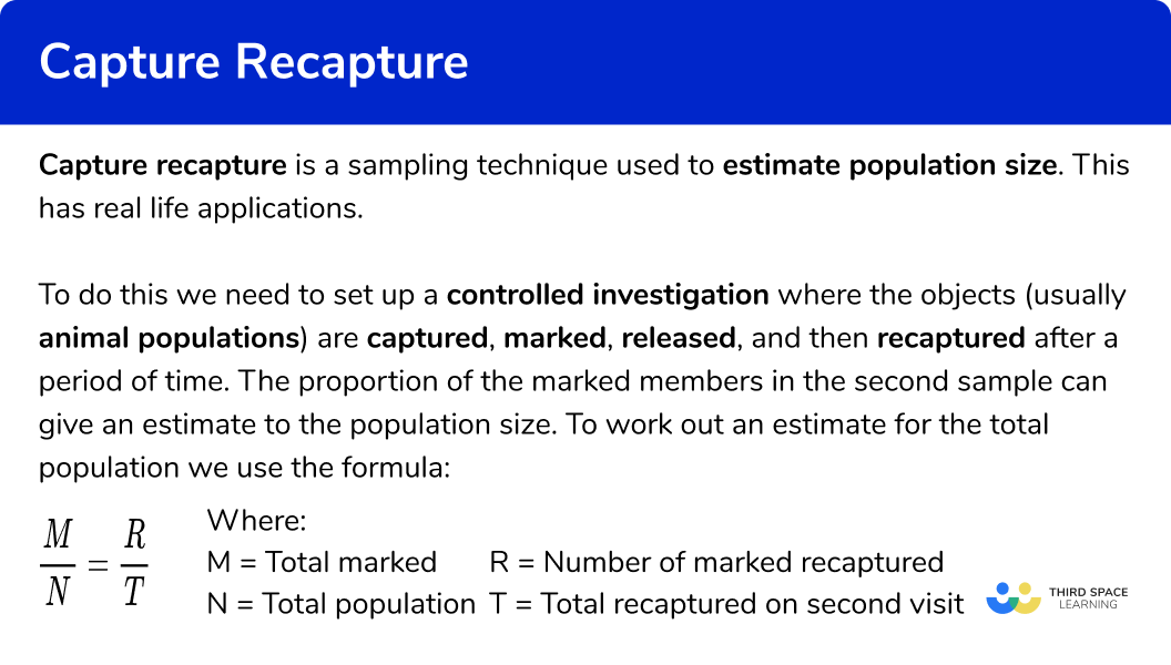 Capture Recapture GCSE Maths Steps, Examples & Worksheet