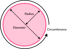 Area And Circumference Of A Circle - GCSE Maths Guide