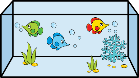 Rectangular Prism - Definition, Properties, Examples & Questions
