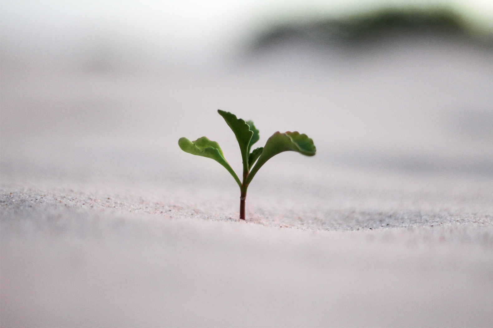 The trouble with living as a new creation