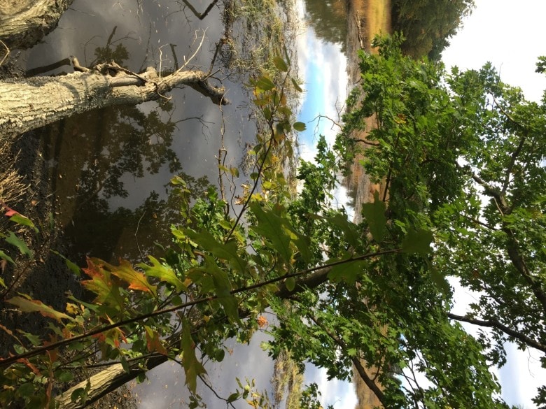 Exploring the Weeks Brick House Nature Trails, Greenland, NH Thirst